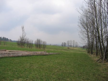 ANZ 1222801125 Spytkowice 5,5ha