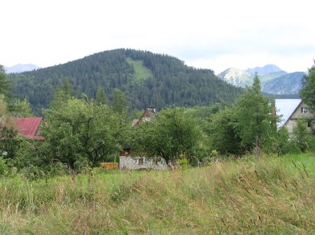 ANZ 1222801285 Zakopane 645m²