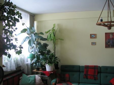 ANZ 1222801496 Zakopane 63.00 m²