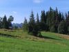 ANZ 1222801270 Zakopane 200m² dziaka 1400m²